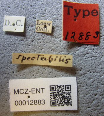 Media type: image;   Entomology 12883 Aspect: labels